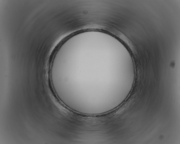 X0000094321124200711241801