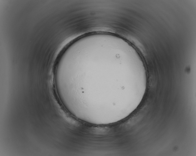 X0000094321125200711241801
