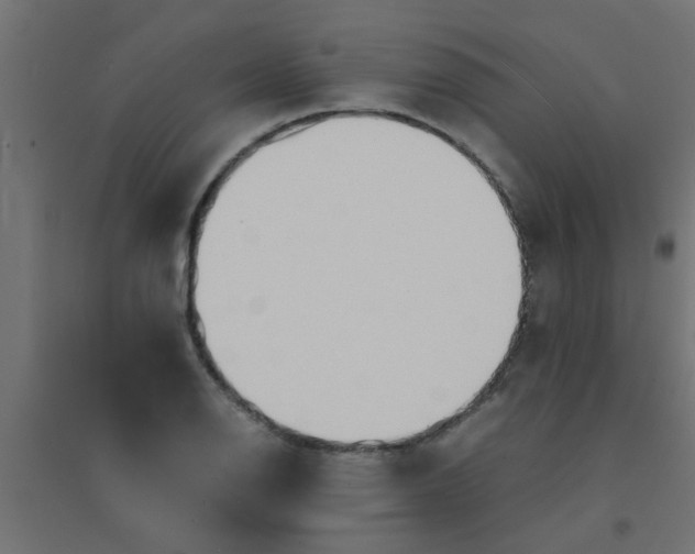 X0000094321126200711241801