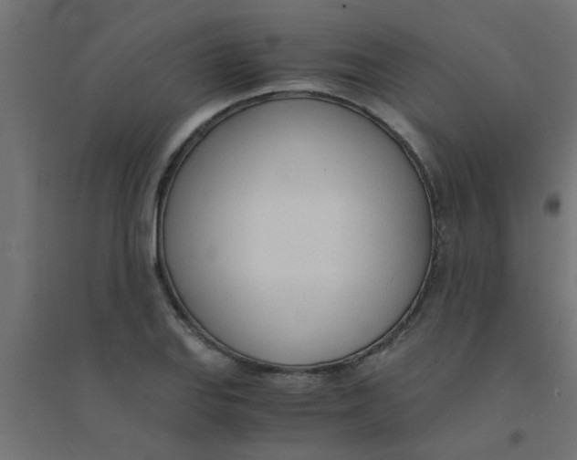 X0000094321127200711241801