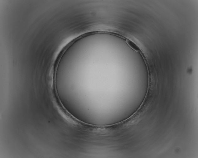 X0000094321128200711241801