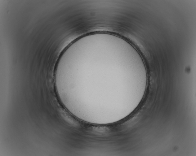 X0000094321129200711241801