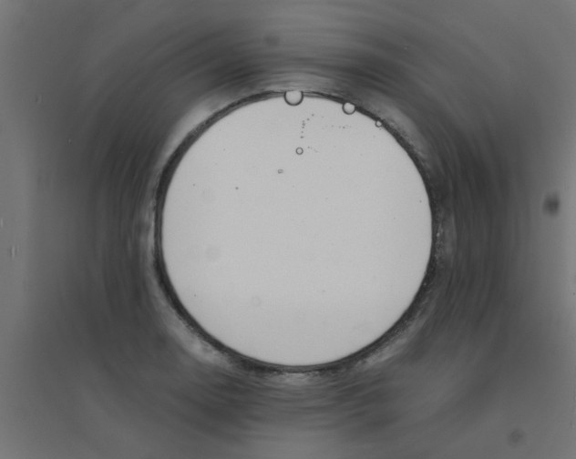 X0000094321130200711241801