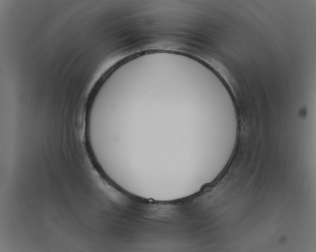 X0000094321131200711241801