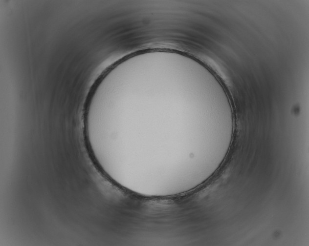 X0000094321133200711241801