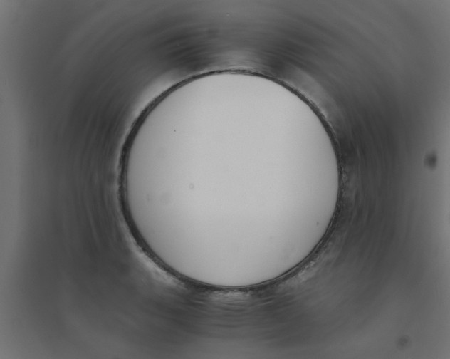 X0000094321135200711241801