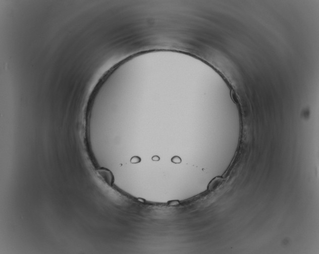 X0000094321136200711241801