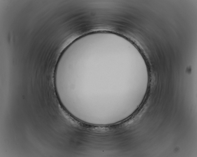 X0000094321137200711241801