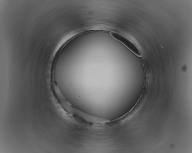 X0000094321138200711241801