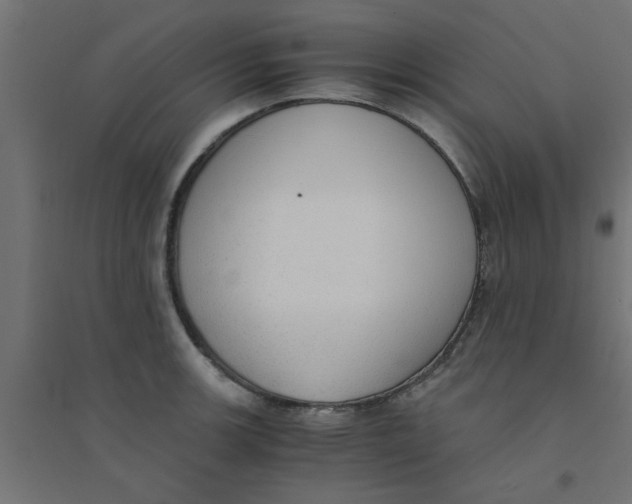 X0000094321139200711241801