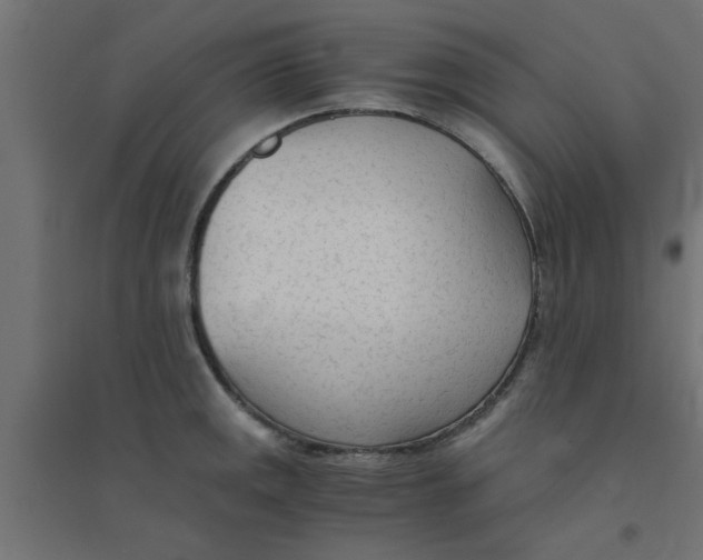 X0000094321141200711241801