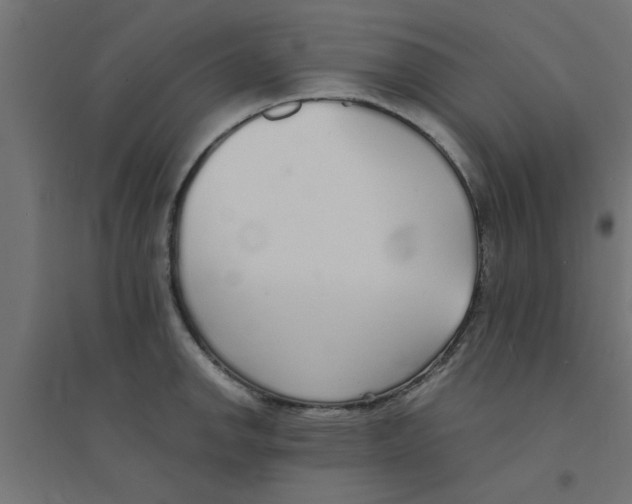 X0000094321142200711241801