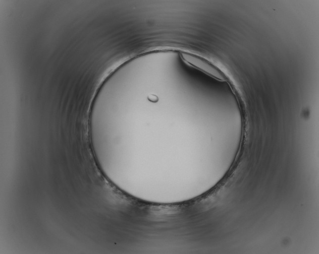 X0000094321145200711241801
