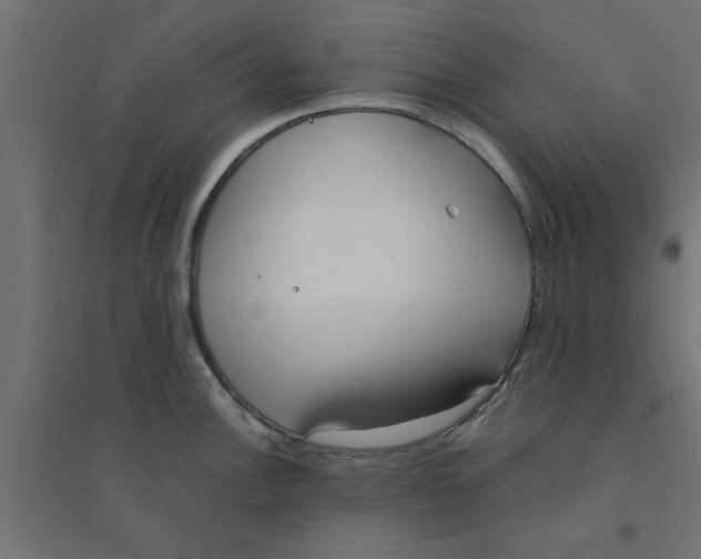 X0000094321148200711241801