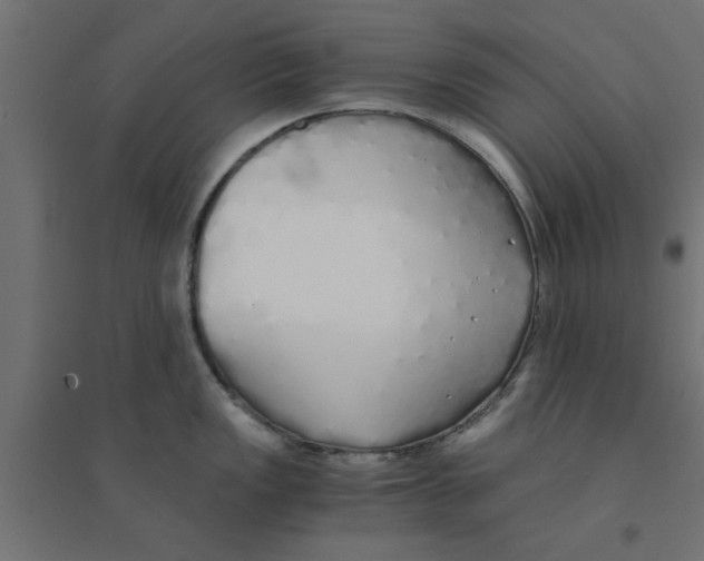 X0000094321149200711241802
