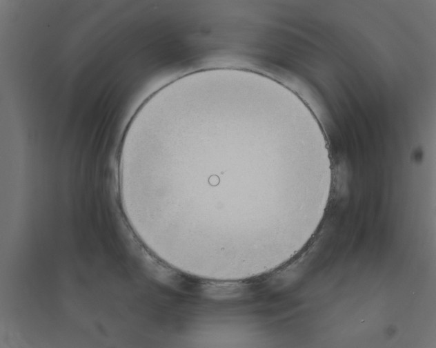 X0000094321150200711241802