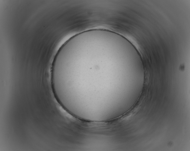X0000094321151200711241802