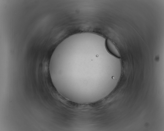 X0000094321154200711241801