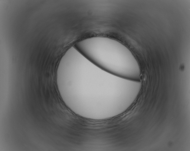 X0000094321156200711241801