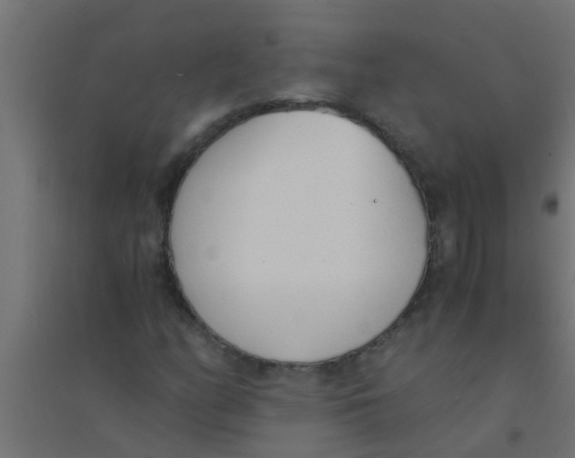 X0000094321158200711241801