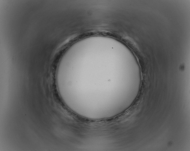 X0000094321159200711241801