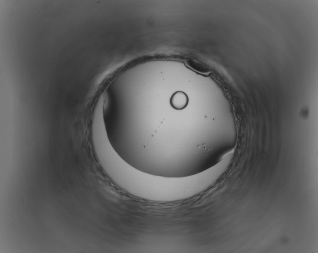 X0000094321160200711241801