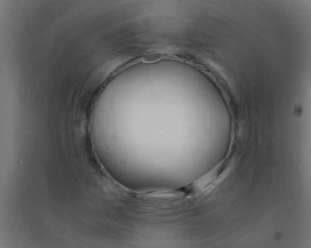 X0000094321161200711241801