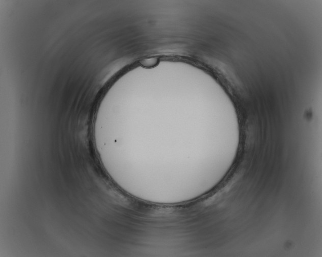 X0000094321162200711241801