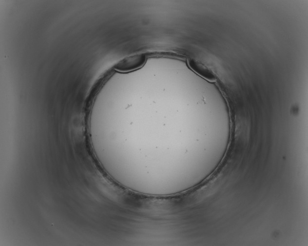 X0000094321164200711241801