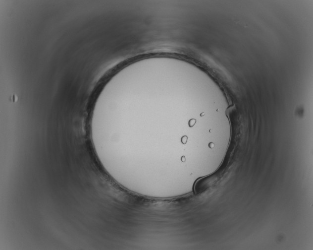 X0000094321166200711241801