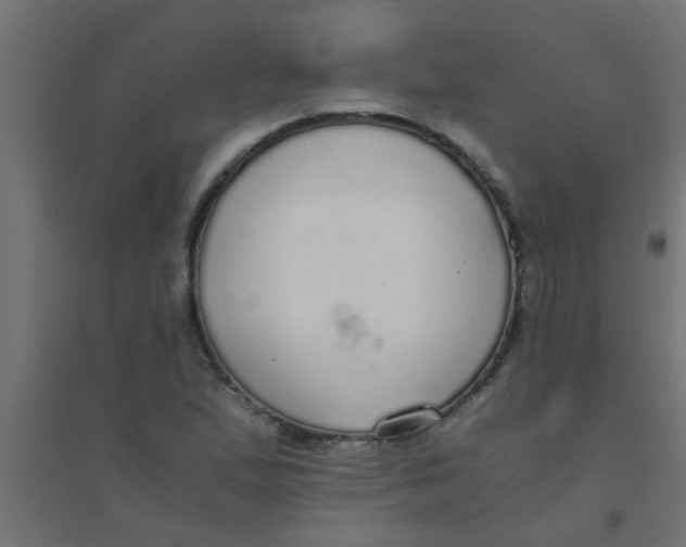 X0000094321167200711241801