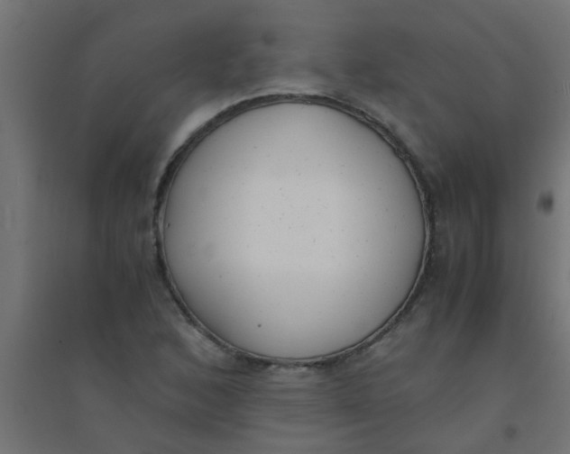 X0000094321168200711241801