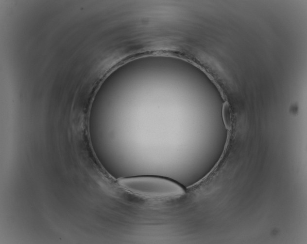 X0000094321169200711241801