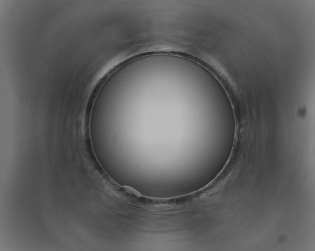 X0000094321173200711241801