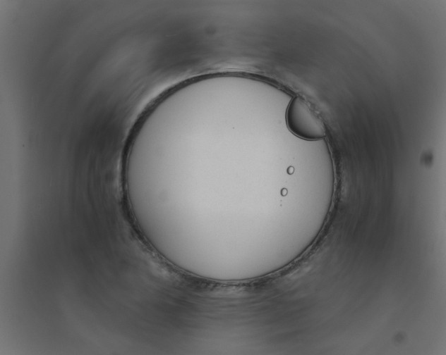 X0000094321174200711241801