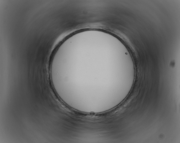 X0000094321176200711241801