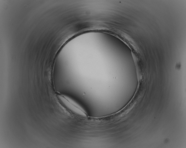 X0000094321177200711241801
