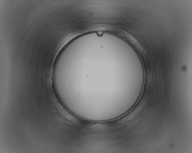 X0000094321178200711241801