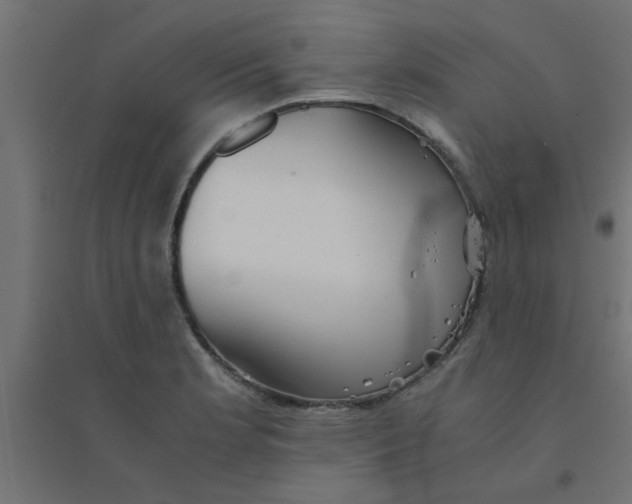 X0000094321181200711241800