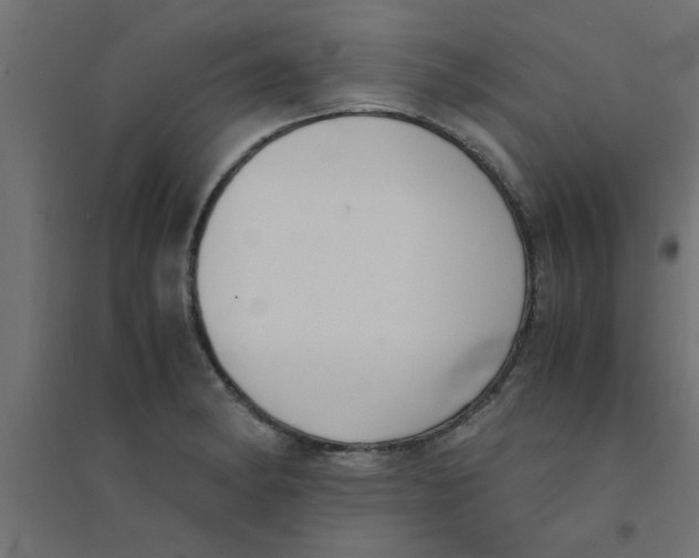 X0000094321182200711241800