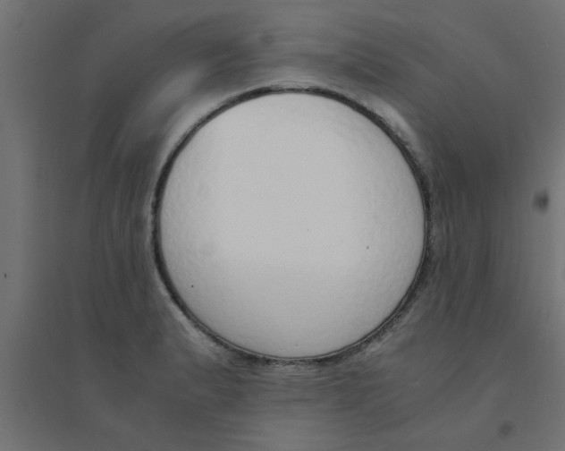 X0000094321183200711241800