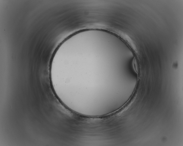 X0000094321184200711241800