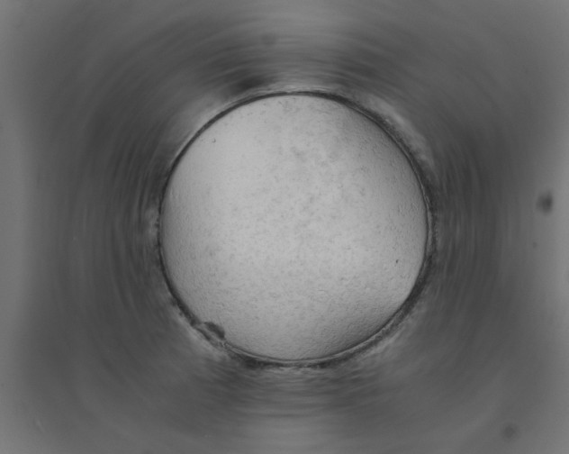 X0000094321185200711241800