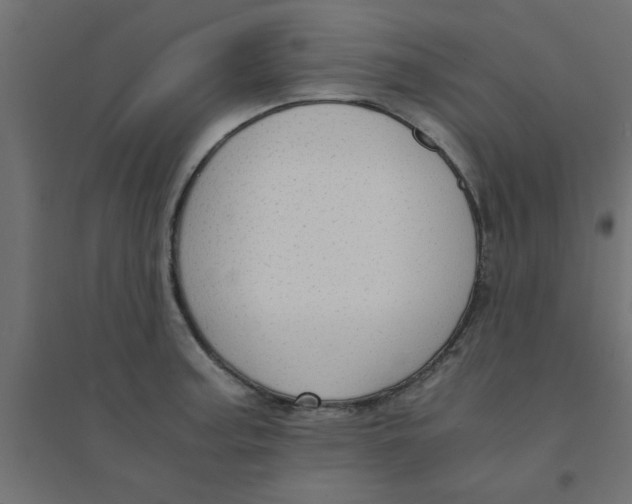 X0000094321187200711241800