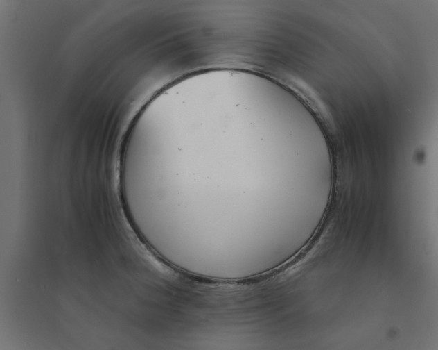 X0000094321188200711241800