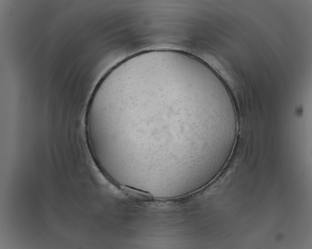 X0000094321189200711241800