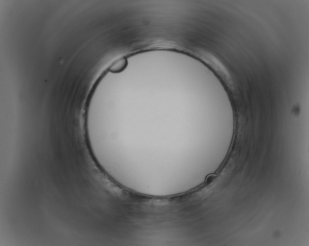 X0000094321190200711241800