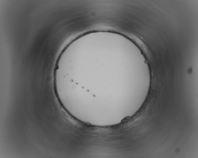 X0000094321191200711241800