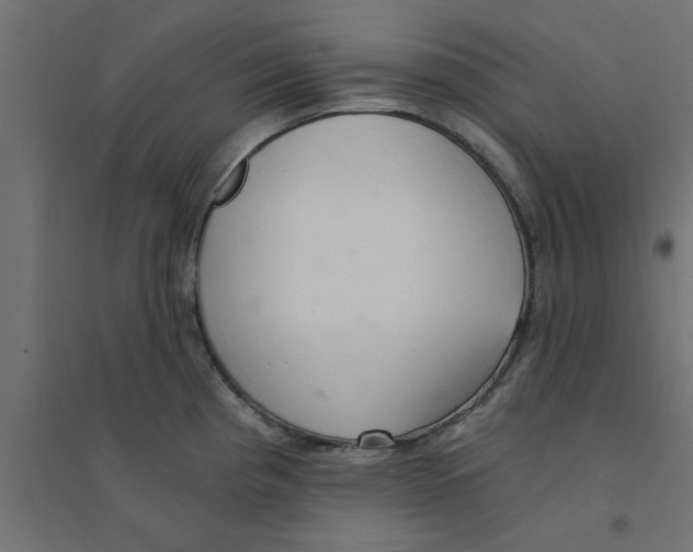 X0000094321193200711241800