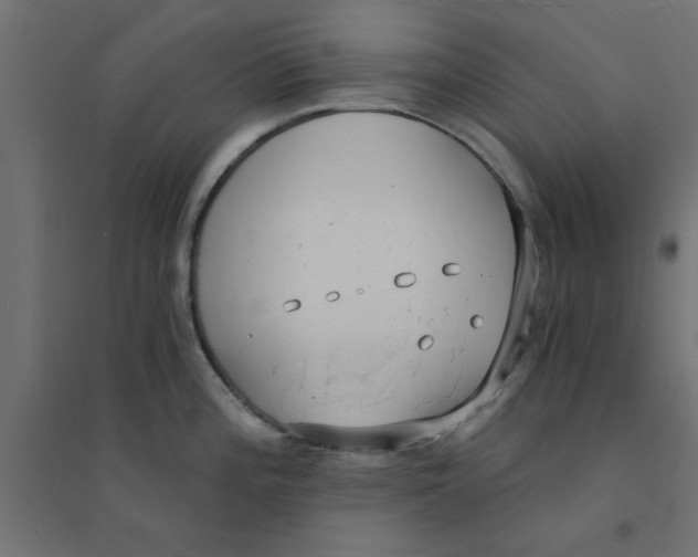 X0000094321196200711241800